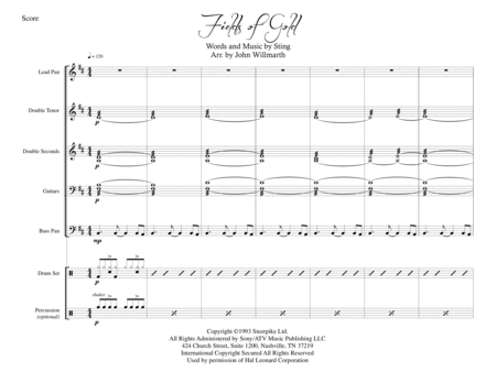 Fields Of Gold For Steel Band Sheet Music