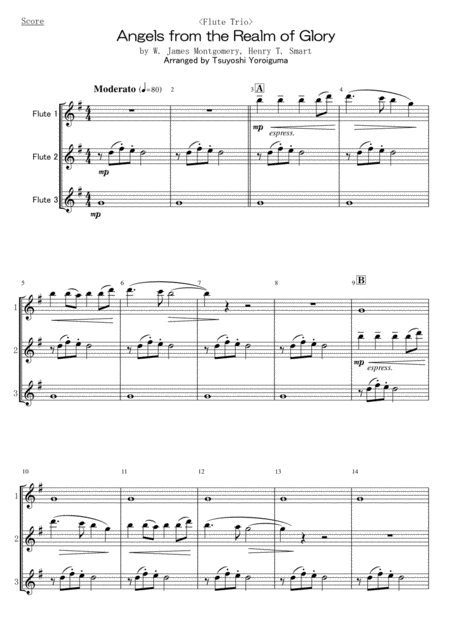 Flute Trio Angels From The Realm Of Glory Sheet Music