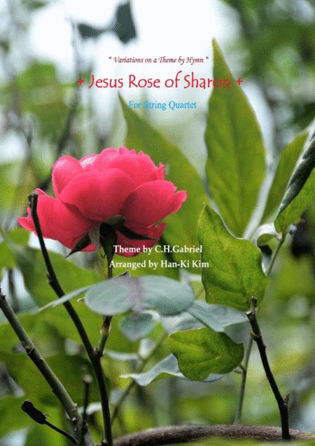 Free Sheet Music Jesus Rose Of Sharon For String Quartet