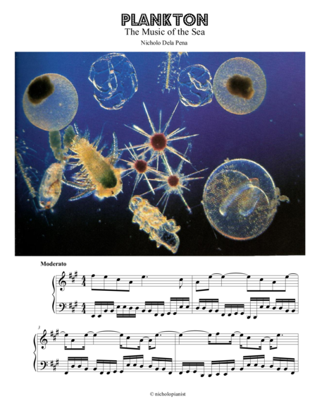 Plankton The Music Of The Sea Sheet Music