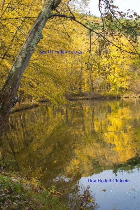 Free Sheet Music Sea Of Fallen Leaves