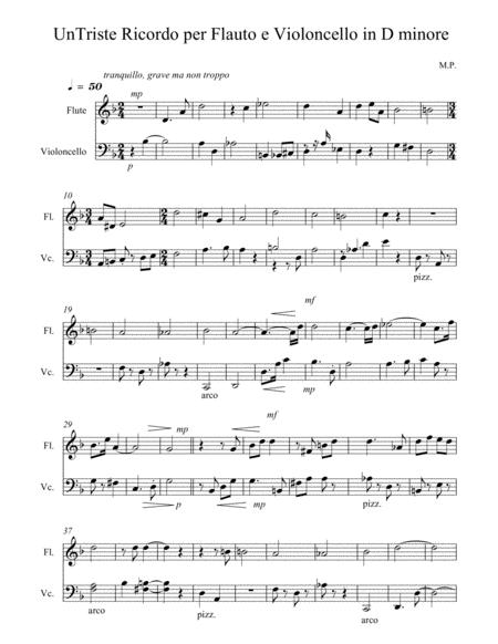 Un Triste Ricordo Per Flauto E Violoncello In D Minore Sheet Music