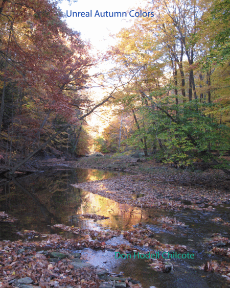 Unreal Autumn Colors Sheet Music