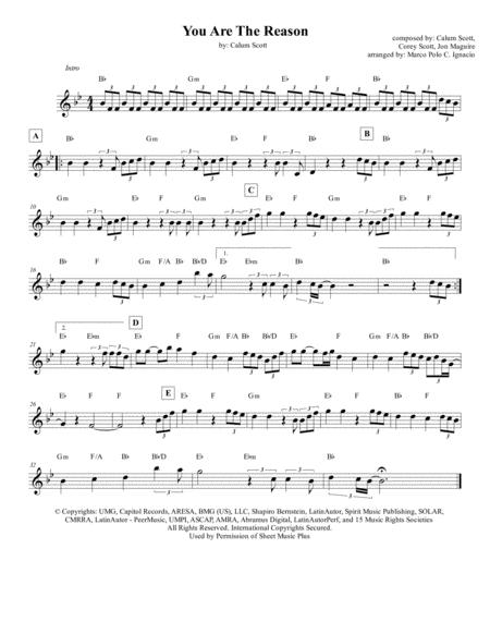 You Are The Reason Lead Sheet Calum Scott Sheet Music