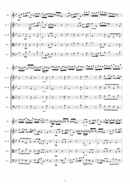 Albinoni Concerto No 1 To 5 Op 5 In B Flat Major For Flute And String Quartet Page 2