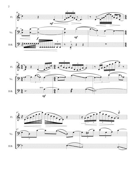 Baltic Suite For Flute Cello And Bass Page 2