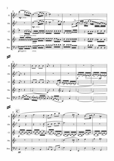 Beethoven Piano Sonata No 8 In C Minor Op 13 Sonata Pathetique Mvt Ii Adagio Cantabile Wind Quintet Page 2