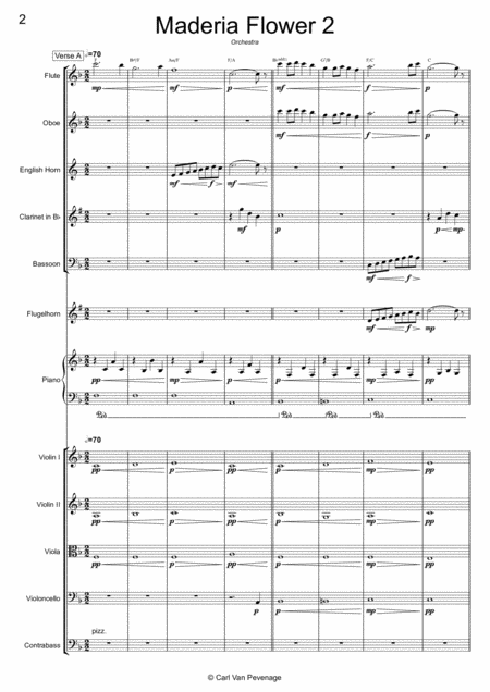 Cc019orc Madeira Flower The Island Orchestra Page 2