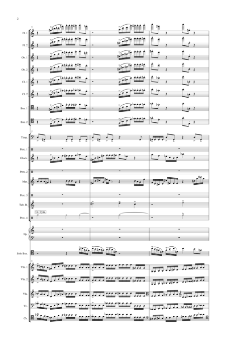 Concerto For Bassoon And Orchestra Page 2