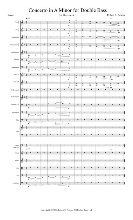 Concerto In A Minor For Double Bass And Orchestra Page 2