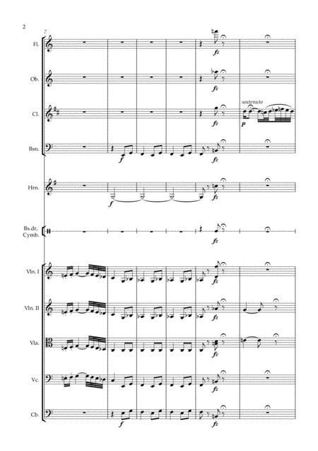 Der Zigeunerbaron Ouverture Arr For Chamber Orchestra Page 2