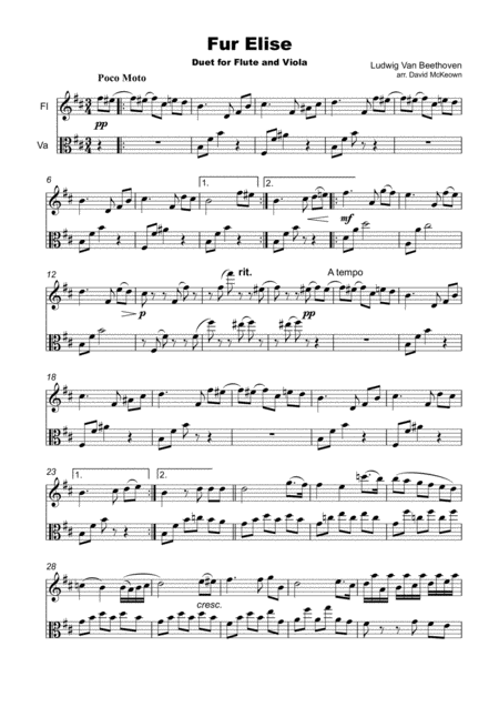 Fur Elise Duet For Flute And Viola Page 2