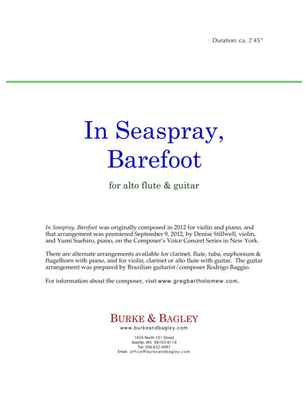 In Seaspray Barefoot Alto Flute Guitar Page 2