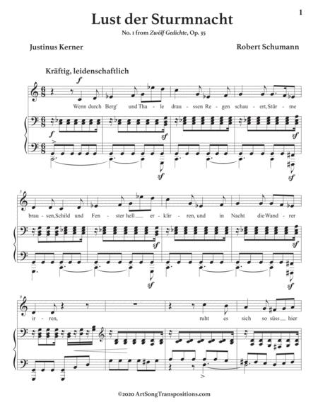 Lust Der Sturmnacht Op 35 No 1 Transposed To C Major Page 2