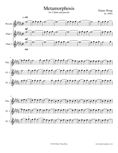 Metamorphosis For 2 Flutes And Piccolo Page 2