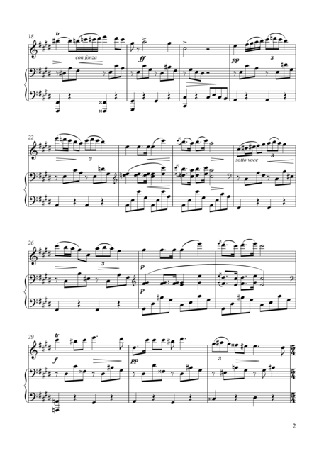 Nocturne In C Minor Op Poth Kk Iva 11 Bi 49 For Flute Piano Page 2