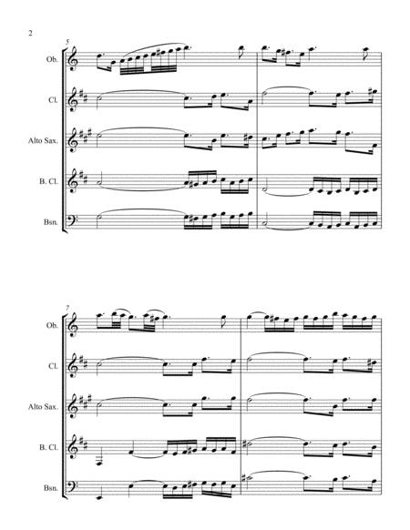 Orchestral Suite No 1 For Reed Quintet Page 2