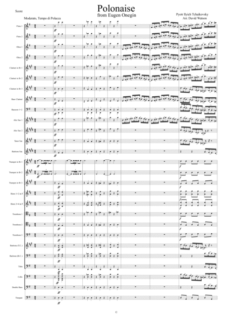 Platti Concerto In G Minor I 47a For Oboe Strings And Cembalo Score And Parts Page 2