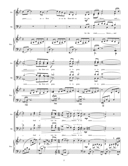 Schubert Der Zrnenden Diana Op 36 No 1 In E Major For Voice Piano Page 2