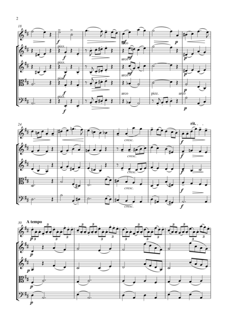 Seitz 1st Movement From Pupil Student Concerto No 5 In D Major For Violin And Piano Arranged For Violin And String Orchestra Page 2