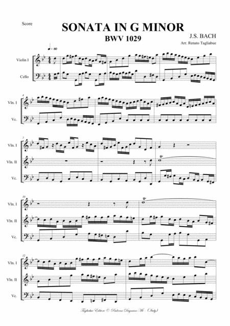 Sonata In G Minor Bwv 1029 Arr For Trio String With Parts Page 2