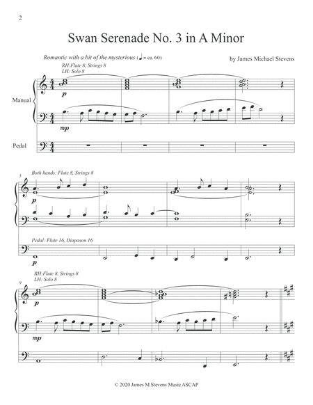 Swan Serenade No 3 In A Minor Page 2