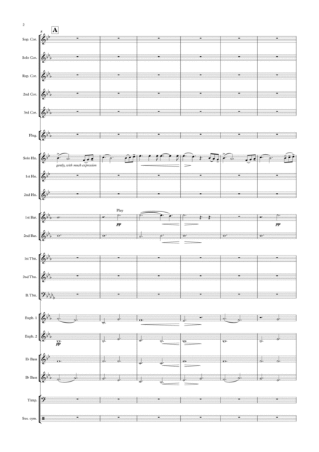 Symphony No 5 Mvt Ii Excerpt Page 2