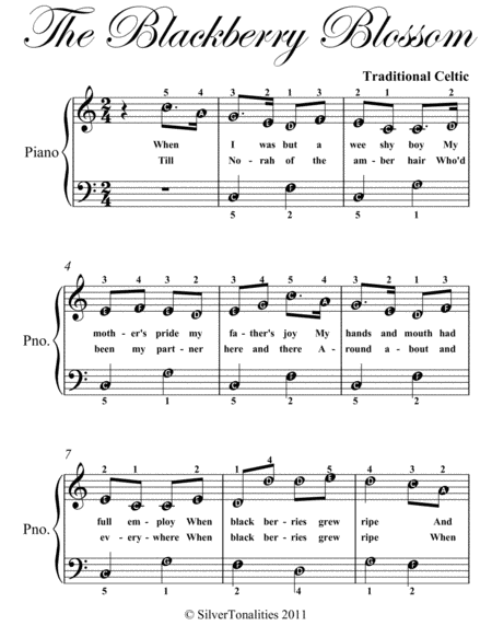 The Blackberry Blossom Easy Piano Sheet Music Page 2