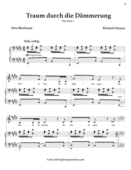 Traum Durch Die Dmmerung Op 29 No 1 E Major Page 2