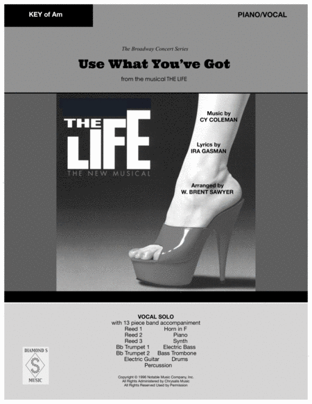 Use What You Got From The Musical The Life Piano Vocal In Am Page 2