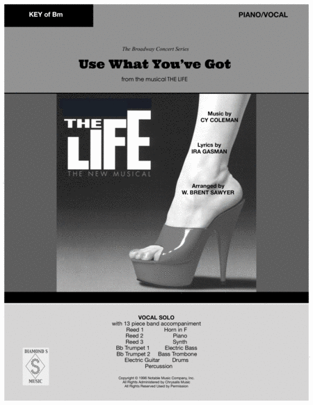 Use What You Got From The Musical The Life Piano Vocal In Bm Page 2