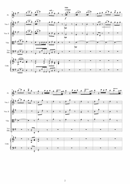 Vivaldi Flute Concerto No 4 In G Major Op 10 Rv 435 For Flute Strings And Cembalo Page 2