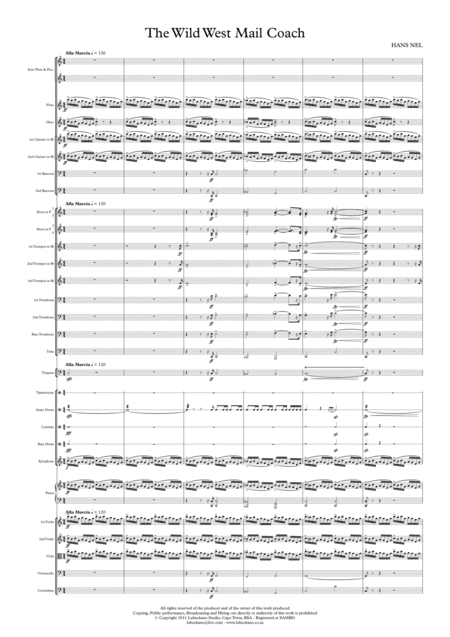 Wild West Coast Flute Solo With Orchestra Page 2