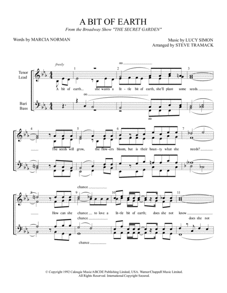 A Bit Of Earth Sheet Music