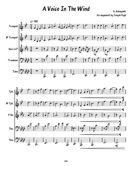 A Voice In The Wind Sheet Music