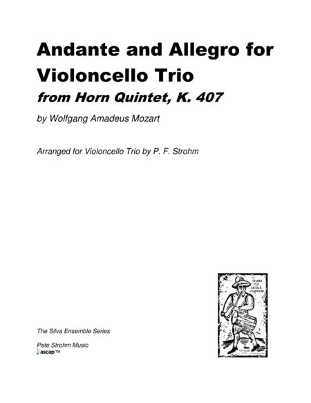 Andante And Allegro For Violoncello Trio From Horn Quintet K 407 Score Only Sheet Music