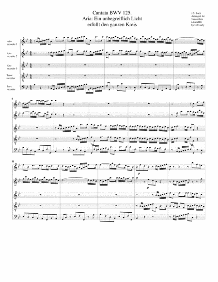 Aria Ein Unbegreiflich Licht Erfuellt Den Ganzen Kreis From Cantata Bwv 125 Version In B Flat Major Arrangement For 5 Recorders Sheet Music