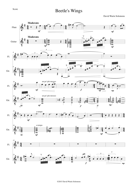 Free Sheet Music Beetles Wings For Flute And Guitar