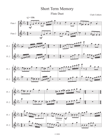 Short Term Memory Flute Duet Sheet Music