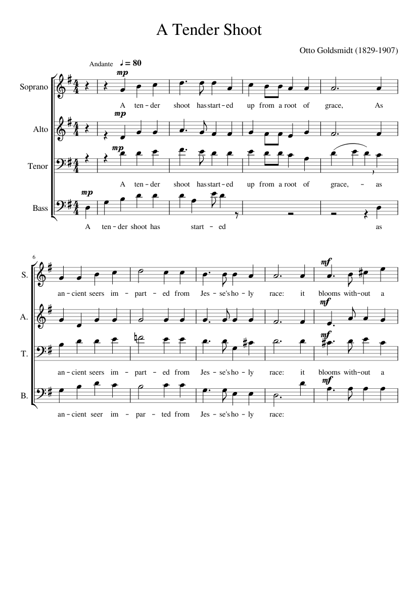 A Tender Shoot By Tim Knight Free Sheet Music