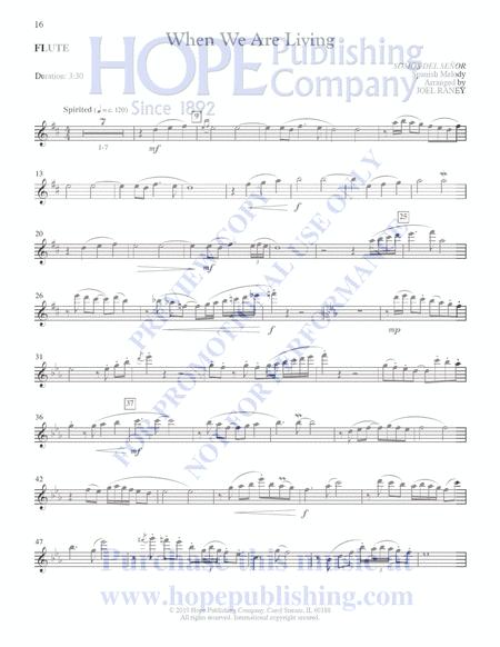 Flute Stylings Vol 4 By Joel Raney Free Sheet Music