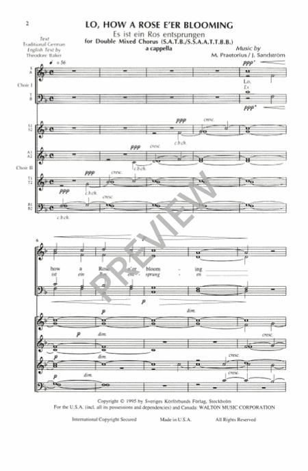 Lo How A Rose E'er Blooming (SATB Double Choir) By Michael Praetorius Free Sheet Music