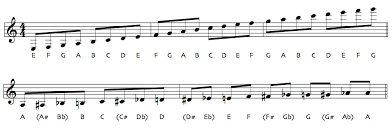 The Basics Of Notating Music: A Guide For Beginners